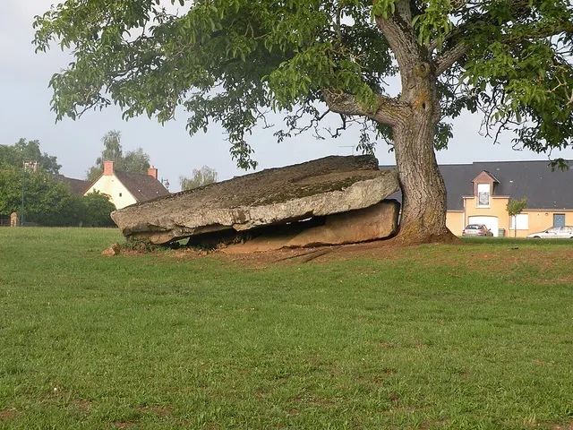 Dolmen de Torcé-en-Vallée