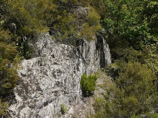Roc de Nou Creus