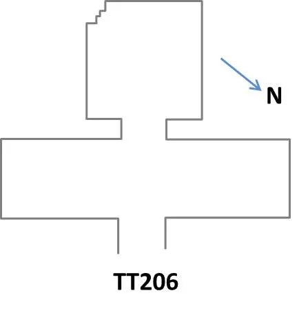TT206