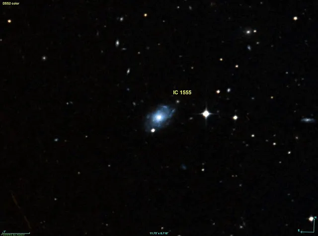 IC 1555