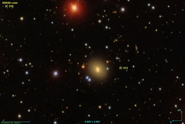 IC 313