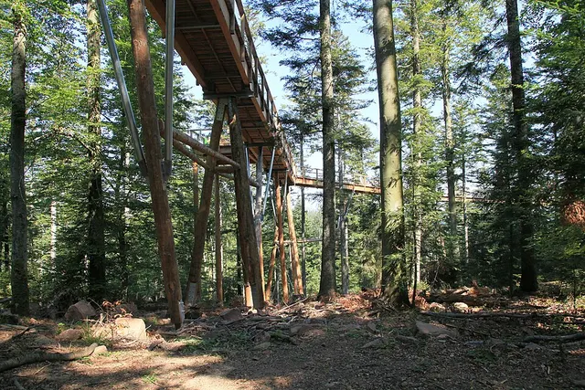 Baumwipfelpfad Schwarzwald