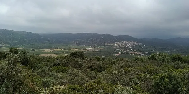 Veliés