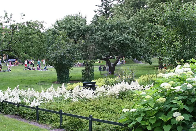 Parc d'Otto-Iivari Meurman