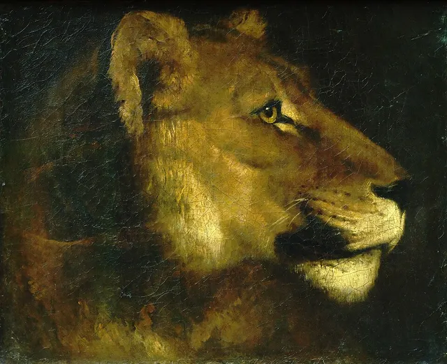 Tête de lionne