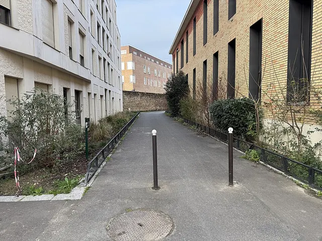 Rue Carlos-Fuentes