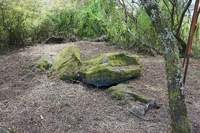 Sépultures mégalithiques de la Butte aux Corzeaux