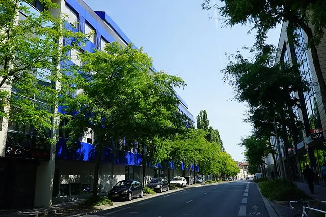 Rue Édouard-Mignot