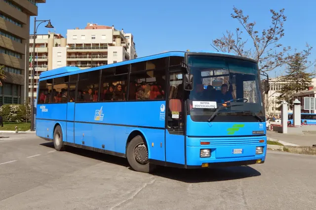 Menarini Monocar 120