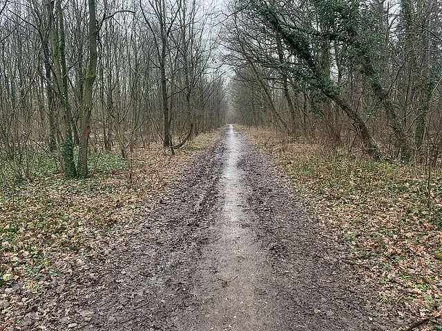 Route de la Belle-Étoile