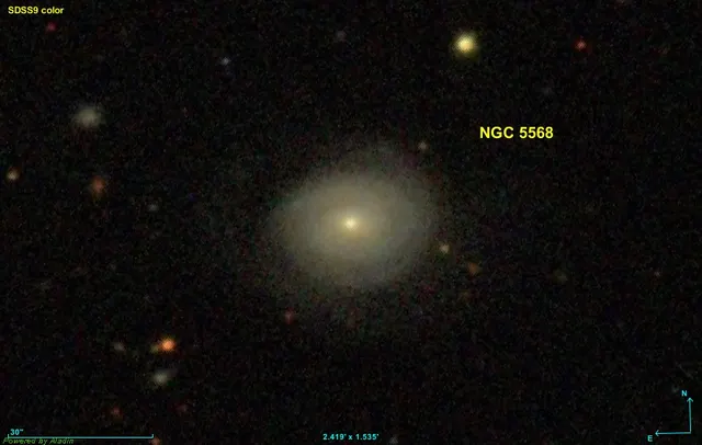 NGC 5568