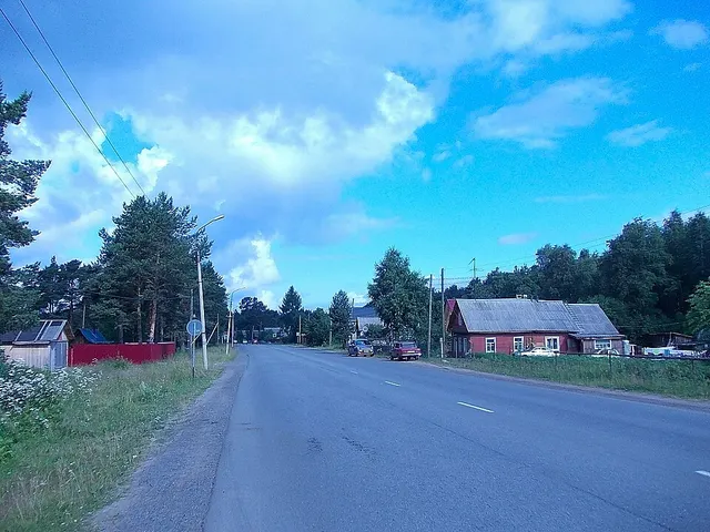 Puujoki