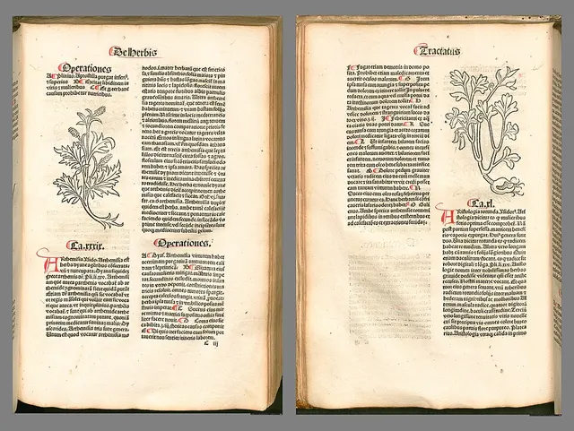 Hortus sanitatis