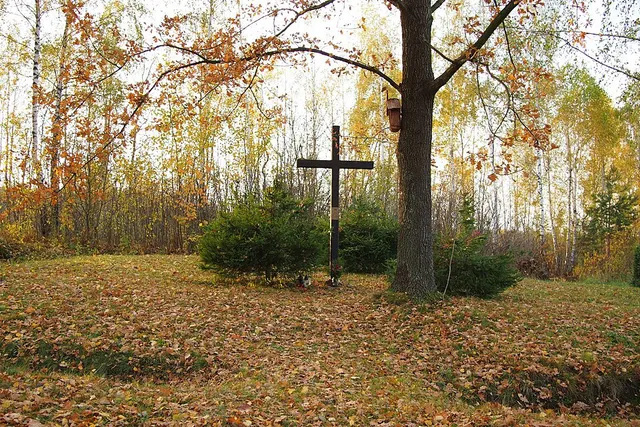 Cimetière du choléra de Świnia Góra