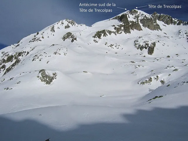 Tête de Trecolpas