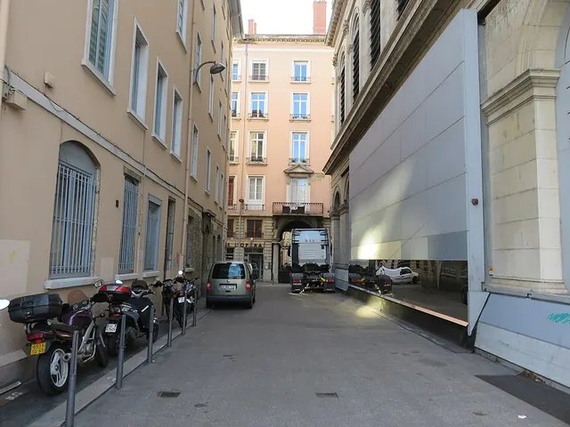 Rue Alexandre-Luigini