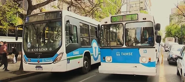 Transporte Automotor Municipal Sociedad del Estado
