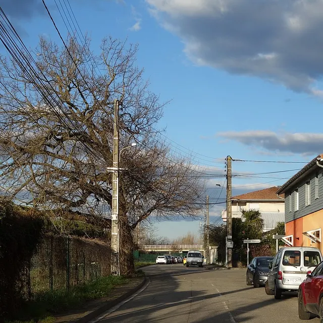 Chemin de Gramont