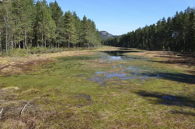 Réserve naturelle de Klinglemyr