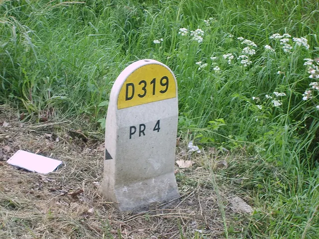 Route départementale 319