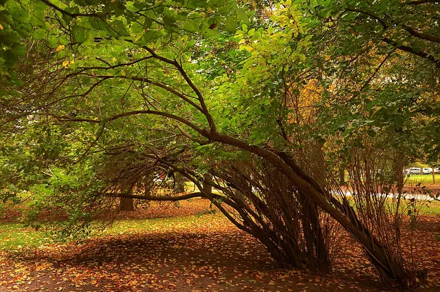 Parc d'Ülejõe