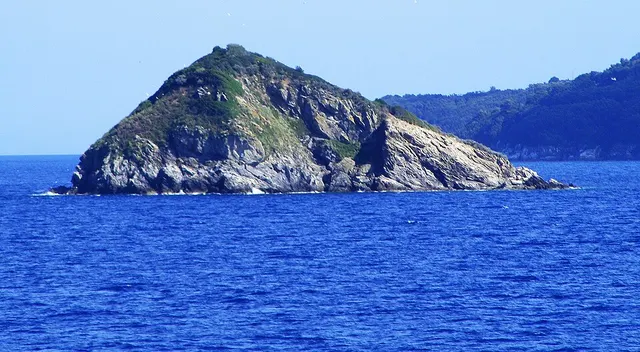 Isola dei Topi