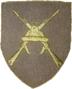 252e régiment de fusiliers motorisés de la Garde