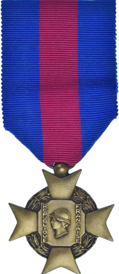 Croix des services militaires volontaires