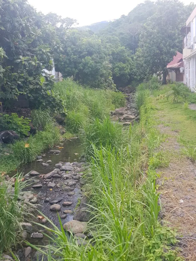 Rivière de Bouillante