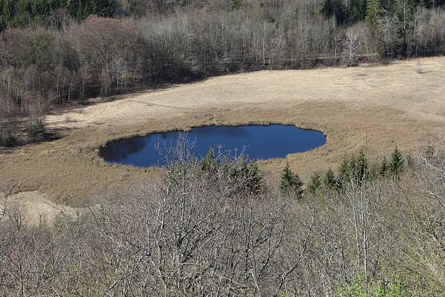Marais et tourbières des montagnes du Bugey
