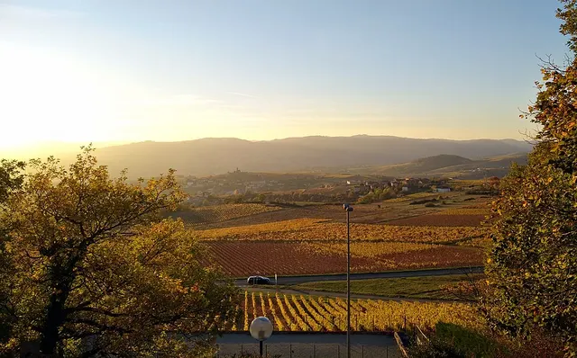 Sentier de grande randonnée de pays Tour du Beaujolais des Pierres dorées