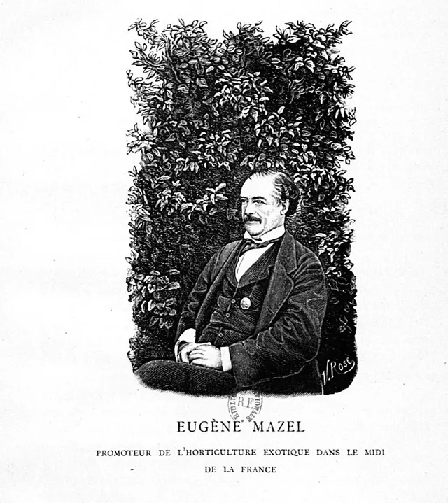 Eugène Mazel