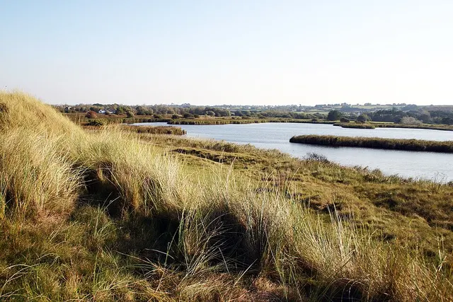 Réserve naturelle régionale des marais, dunes et baies de Guissény