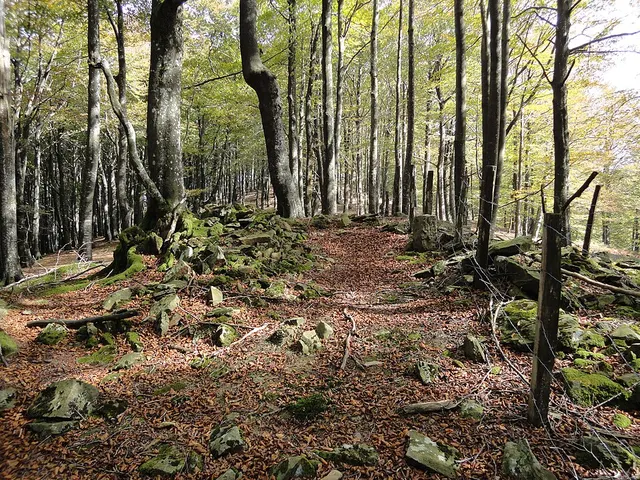 Dolmen d'Argonitz