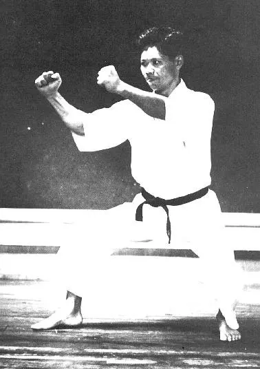 Kata Shotokan