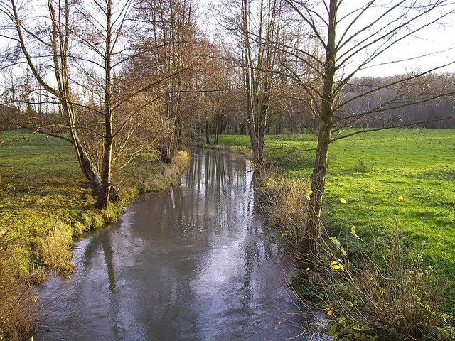 Calonne