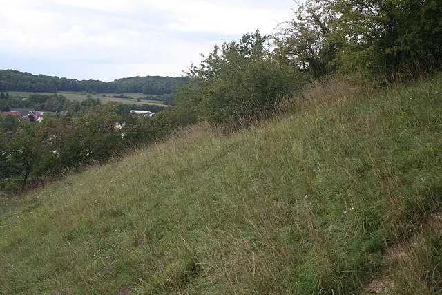Réserve naturelle régionale de Tagolsheim Semberg