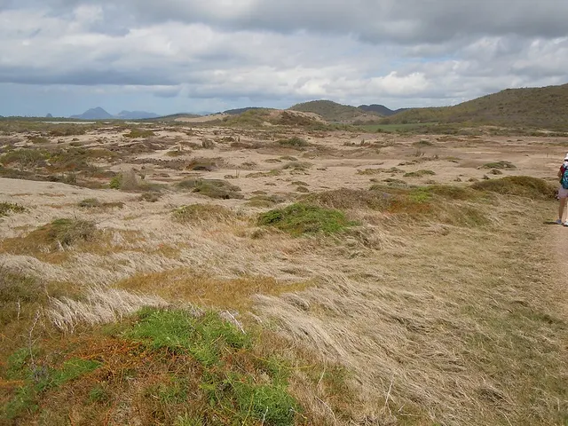 Savane des pétrifications