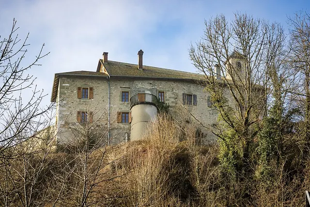 Château de Montpon