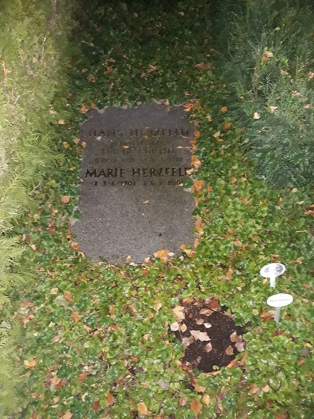 Hans Herzfeld