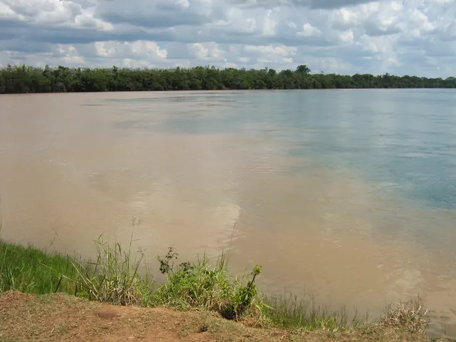 Rio Ivaí