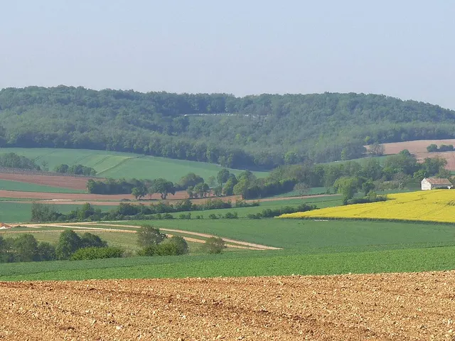 Coteaux calcaires entre les Bouchauds et Marsac