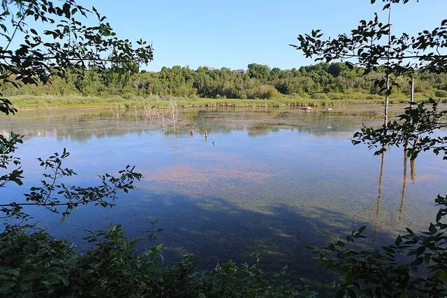 Réserve naturelle du Marais-Léon-Provancher
