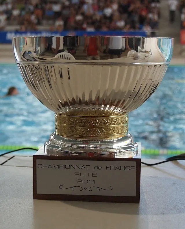Championnat de France masculin de water-polo 2010-2011