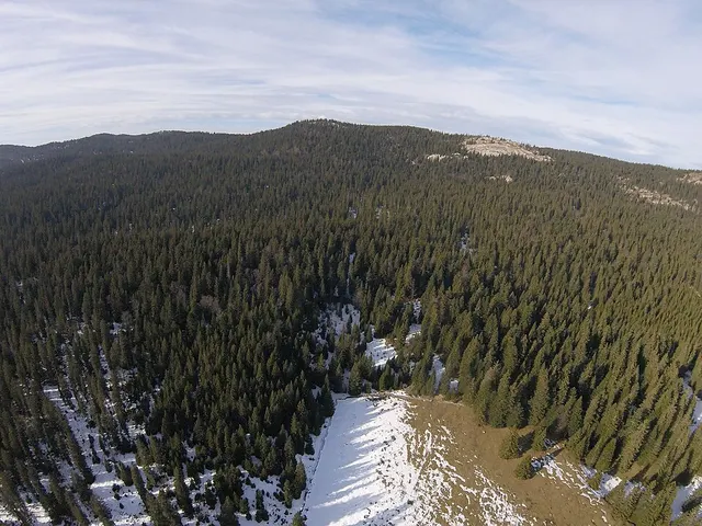 Mont Pelé