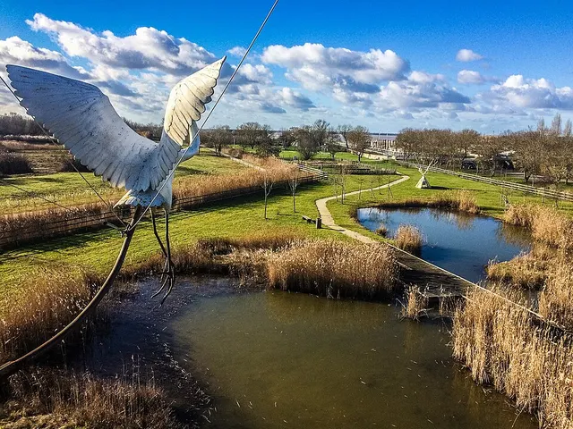 Terres d'oiseaux