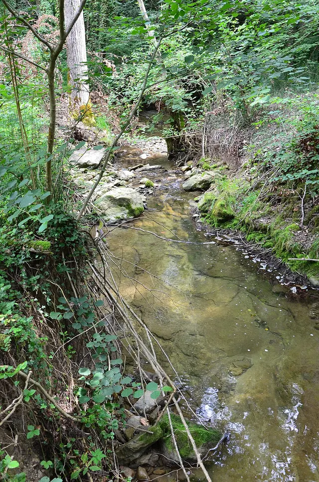 Pétause