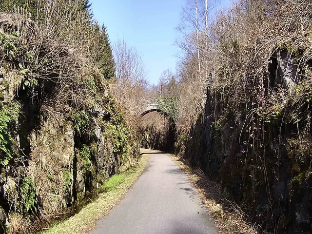 Voie verte des Hautes-Vosges