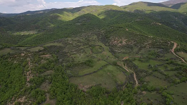 Boulountouli