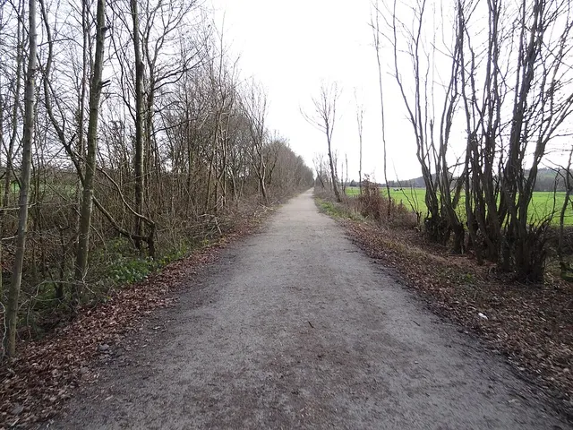 Ligne de Laval à Pouancé